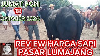 REVIEW HARGA SAPI PEDET BAKALAN JANTAN JUMAT 18 OKTOBER 2024 [upl. by Benedetta839]