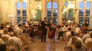 Mendelssohn D minor Violin Concerto 1822 i mvmt [upl. by La Verne]