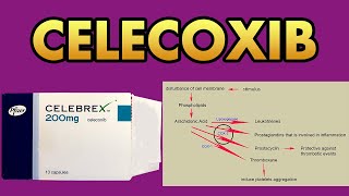 Celecoxib 200 mg Capsule Celebrex [upl. by Haleemak]