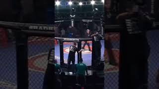 Deadly Elbow KO💪🥊greatmmaknockouts greatmmafights mmajunkies [upl. by Reinar]