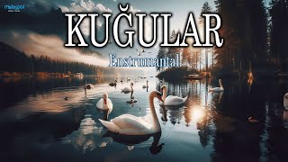 Kuğular  Enstrumantal swans [upl. by Sauveur866]