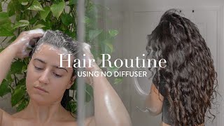 My FrizzFree Natural WavyCurly Hair Routine No Diffuser [upl. by Bois]