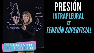 Presión intrapleural vs Tensión superficial en el alvéolo Pregunta de examen [upl. by Ploch]