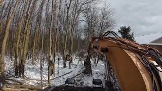 Tree Clearing  Excavator Vs Trees [upl. by Heppman]