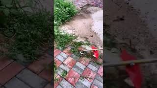 Clear Your Yard with Ease Using This Wire Weed Cutter [upl. by Prouty790]