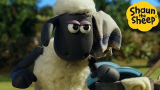 Shaun the Sheep 🐑 Sheep Fight  Cartoons for Kids 🐑 Full Episodes Compilation 1 hour [upl. by Ynnaej34]