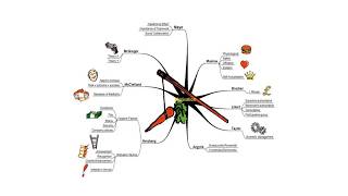 De theorie achter motivatie [upl. by Elenaj522]