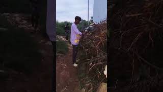 கொசு விரட்டும் முறைanimals brother viralvideo TapangTapangvlogs TTV [upl. by Naujek]