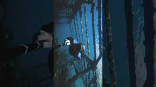 Shipwreck explore shorts adriaticcoast shipwrecks sea croatia explore [upl. by Proctor]