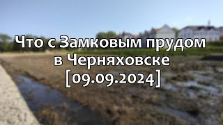 Черняховск Замковое болото и чёрный ручей 09092024 [upl. by Sennahoj]