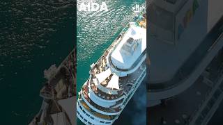 🚢 AIDA KREUZFAHRT Kreuzfahrtschiff short aida kreuzfahrt cruise [upl. by Pestana]