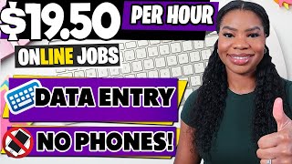 Data Entry Work From Home Jobs Get Paid 1950Hour  No Experience No Phone Required [upl. by Niawat]