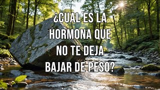 ¿Cual es la hormona que no te deja bajar de peso 🍔🥤🍟🍕🍩🍫🏋️‍♂️🏃‍♀️🚶‍♂️💊🍽️⚖️🍏💪💡❤️‍🩹📈 [upl. by Murtagh]