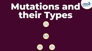 Genetics  Mutations and their Types  Lesson 20  Dont Memorise [upl. by Olmsted]