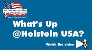 Whats Up at Holstein USA A Day in the Life of a Classifier [upl. by Oigres911]