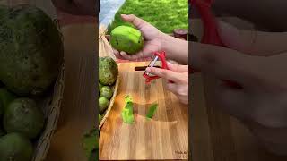 🍍 Tropical Fruit Tasting Challenge tropicalfruit fruitchallenge TasteTest ExoticFlavors [upl. by Beall393]