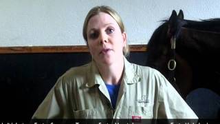 Laminitis in Horses  General Hoof Care tips from Equine Vet [upl. by Wilinski]