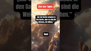 Zitat des Tages  Zitat von Rumi zitatdestages zitatvonrumi spruchdestages [upl. by Nasia322]