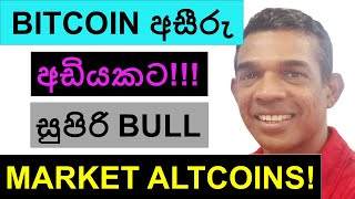 BITCOIN අසීරු අඩියකට  සුපිරි BULL MARKET ALTCOINS [upl. by Eirased]