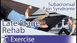 Subacromial Pain Syndrome SAPS  Late Phase Eccentric Rehab [upl. by Annaya412]