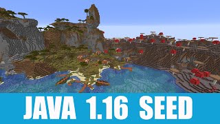 Minecraft Java 116 Seed Abandoned village stands between shattered savanna and mushroom island [upl. by Eniron]