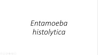 Entamoeba histolytica  Parasitology [upl. by Merrile]