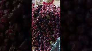 NEW SEASON FRUIT IS FRUIT KA KIYA NAAM HAI COMMENT KAREN shorts fruit shortvlog [upl. by Guimar]