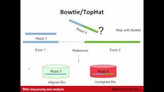 RNASeq Alignment and Visualization [upl. by Eleahcim]