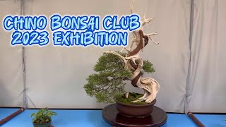 Chino Bonsai Club Exhibit Oct 2023 [upl. by Kazim]