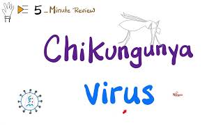 Chikungunya Virus Mosquitoborne illness  Virology [upl. by Suolkcin]