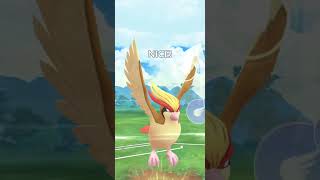 An Unexpected Win With Pidgeot In Pokémon Go  Pokémon Go [upl. by Alegna]