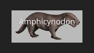 Amphicynodon [upl. by Nyvlem]