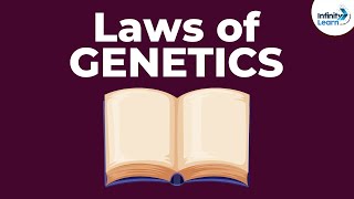 Laws of Genetics  Lesson 5  Dont Memorise [upl. by Ahaelam]