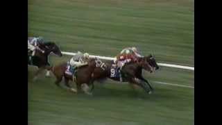 1986 Turf Classic  Manila [upl. by Mozes]