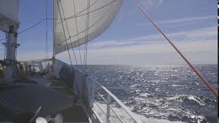 Sailing the Falklands with Jerome Poncet [upl. by Kinchen449]