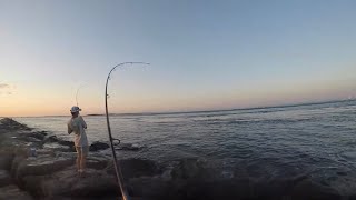 Bluefish and Weakfish INSANITY at Barnegat Inlet Jetty Every Cast [upl. by Elum]