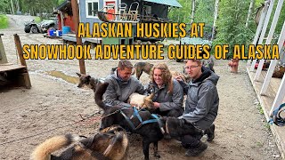 Meet The Thrilling Alaskan Huskies Snowhook Adventures Dog Sledding [upl. by Isidora]