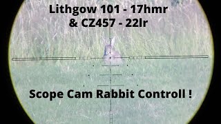 17hmr amp 22lr Pest Control Summer Weekend [upl. by Elyrpa315]