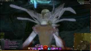 GW2 Conundrum Cubed Mount Maelstrom jumping puzzle guide [upl. by Sidnee]