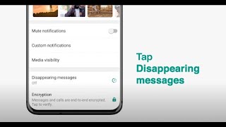 How To Send Disappearing Messages  WhatsApp [upl. by Lisa]