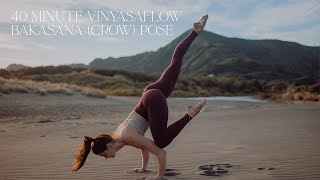 40 minute Vinyasa  Arm Balance Flow for Bakasana Crow Pose with Amy Kate [upl. by Brodeur495]