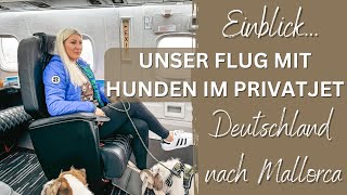 Flug mit Privatjet mit 3 Hunden von Deutschland nach Mallorca  Travelcoup [upl. by Eenoj]