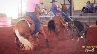 Team Roping  Luiz Eduardo e Pedro Borges [upl. by Downall]