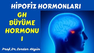 Hipofiz Hormonları Growth Hormon ITıp Dersleri Serdar Akgün Serdar Akgün Videoları [upl. by Olympias]