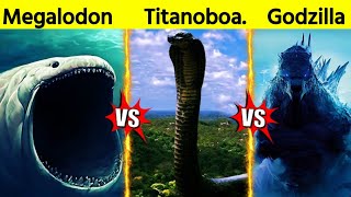 Titanoboa VS Godzilla VS Megalodon লড়াই হলে কে জিতবে ‌Titanoboa VS Godzilla VS Megalodon [upl. by Fadil]