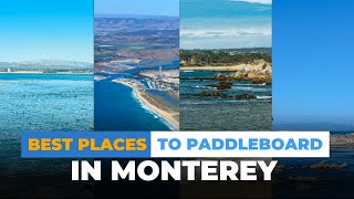 MONTEREY Paddle Board in These SIX BEST PLACES [upl. by Desdemona]