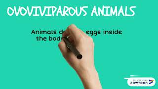 Oviparous viviparous and ovoviviparous animals [upl. by Annabelle]