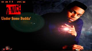 D Nice  Under Some Budda Call Me D Nice 1990 [upl. by Yahiya]