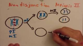 Mechanisms causing aneuplooid and polyploid [upl. by Guillaume772]