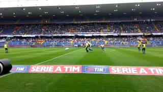 Sampdoria  Napoli Invasione di campo Stadio Luigi Ferraris Genova 11052014 [upl. by Tteirrah7]